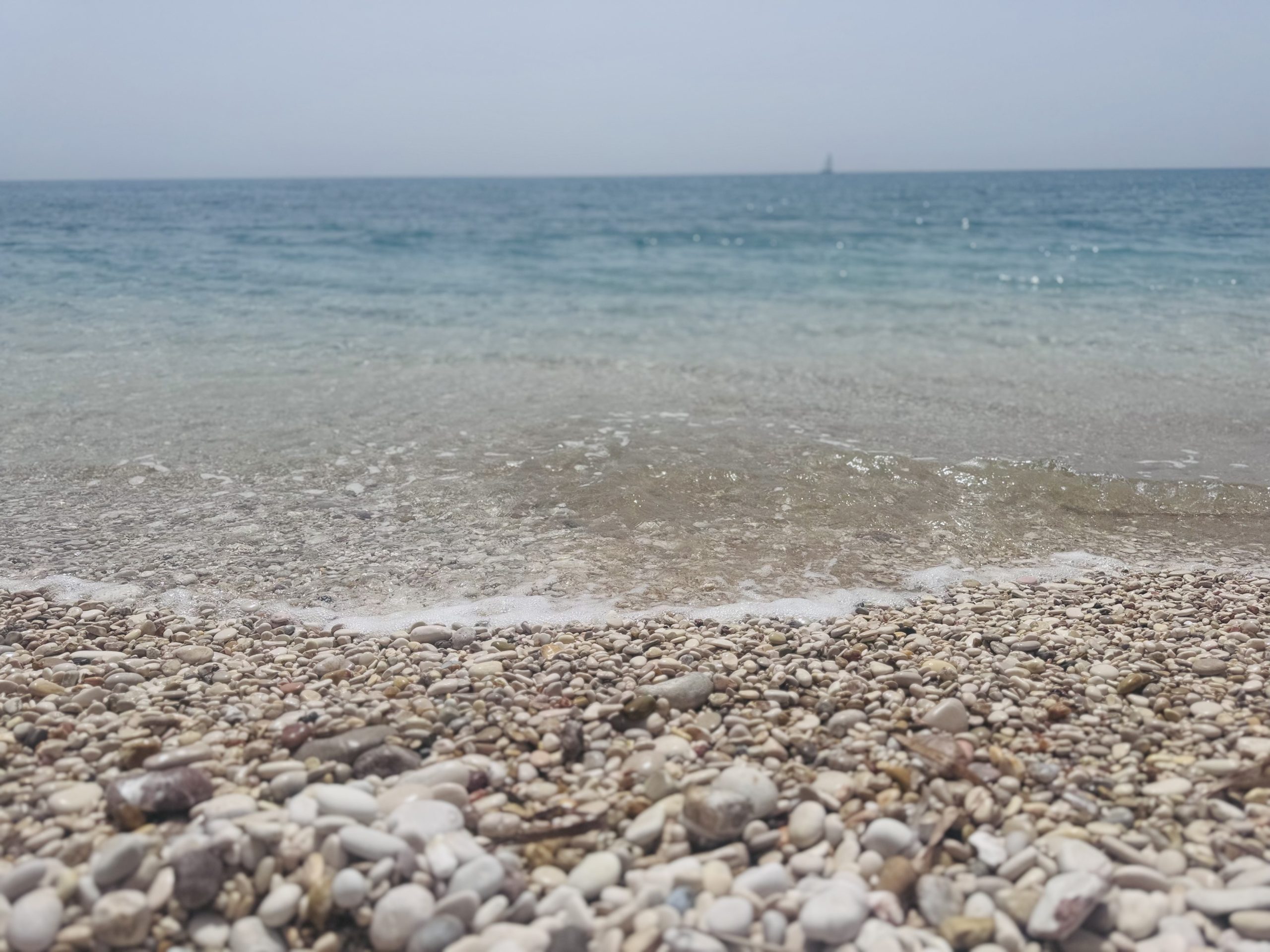 image_50422785